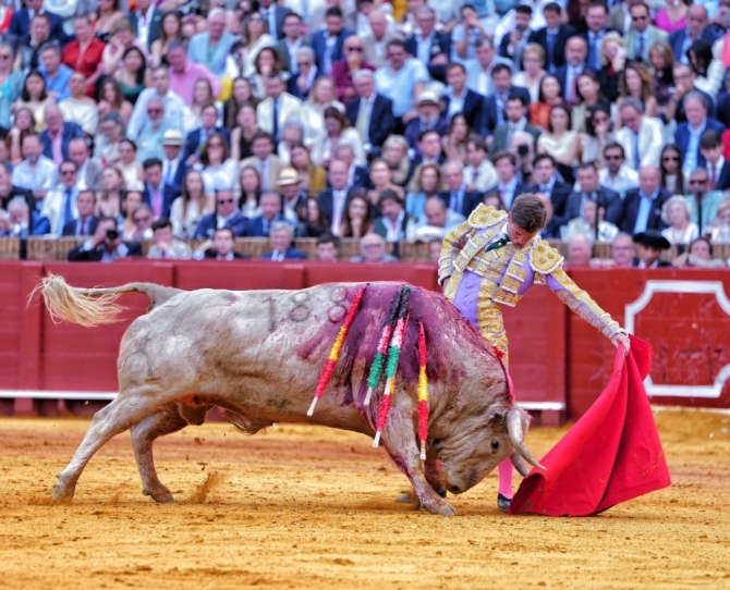 'Sangre y firmeza de Roca Rey'