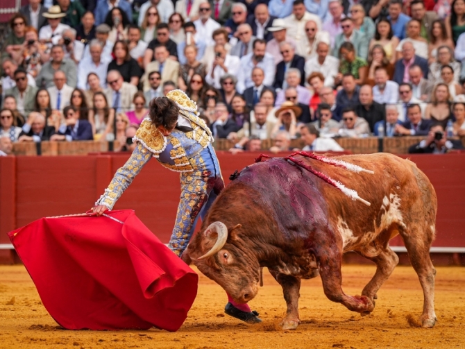 'Sangre y firmeza de Roca Rey'