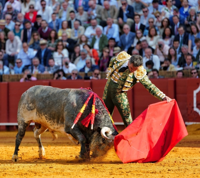 'La pureza de Fortes nos salva de la sosería'