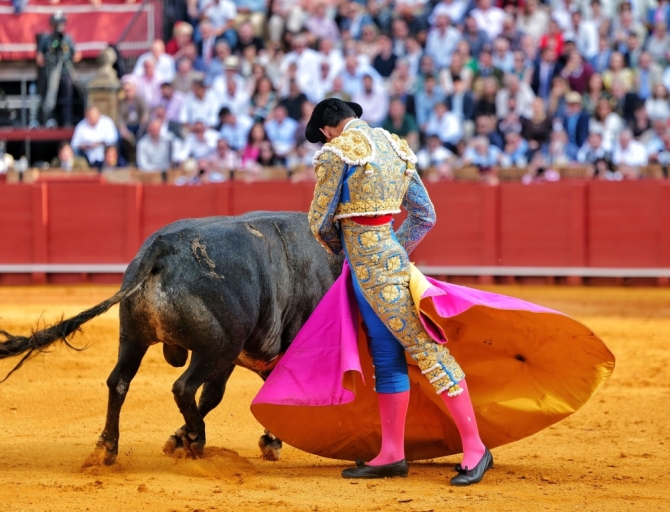 'La pureza de Fortes nos salva de la sosería'