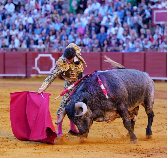 'La pureza de Fortes nos salva de la sosería'