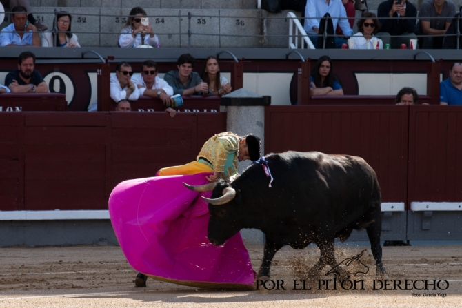 'Desrazada y descastada corrida de Palha; Luis Gerpe, herido'