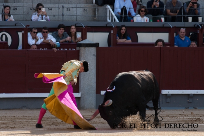 'Desrazada y descastada corrida de Palha; Luis Gerpe, herido'