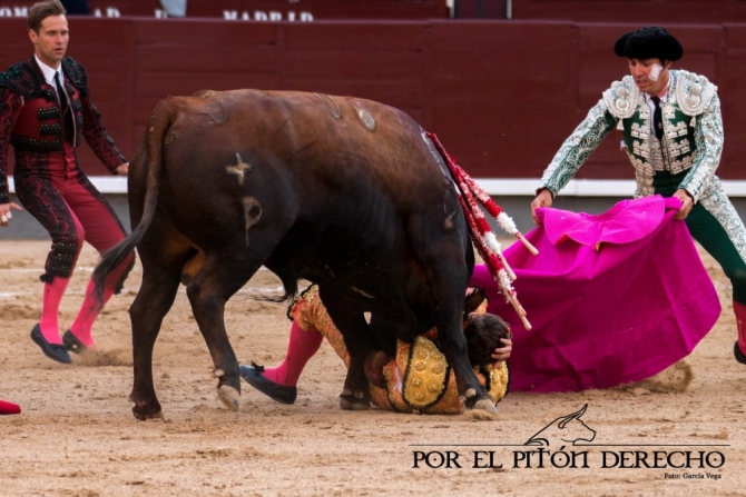 'Desrazada y descastada corrida de Palha; Luis Gerpe, herido'