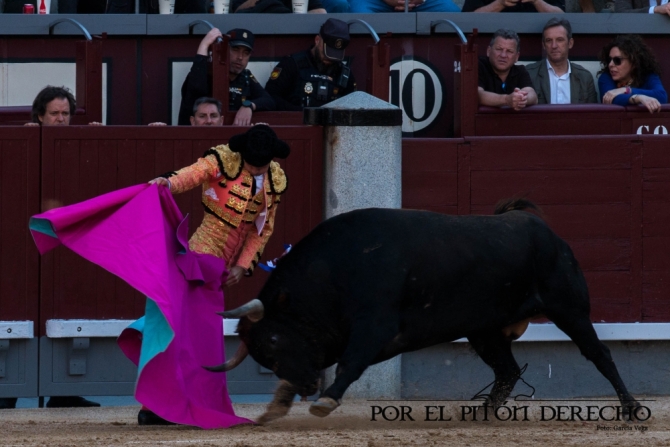 'Desrazada y descastada corrida de Palha; Luis Gerpe, herido'