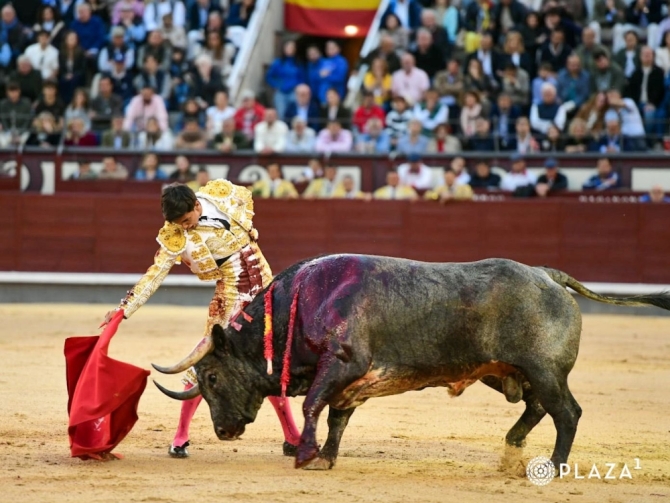 'Desenfado encastado de Diosleguarde en otro borrón de La Quinta'