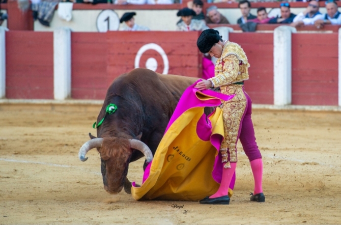 Manuel Diosleguarde se alza con la Corrida de la Oportunidad 