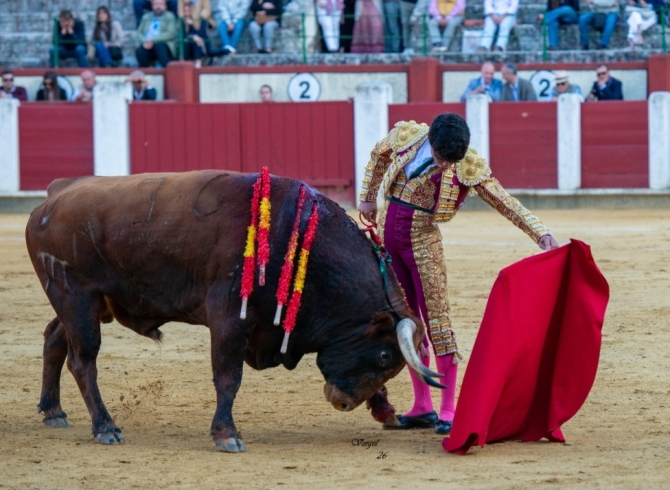 Manuel Diosleguarde se alza con la Corrida de la Oportunidad 