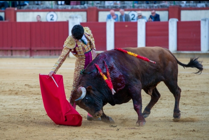 Manuel Diosleguarde se alza con la Corrida de la Oportunidad 