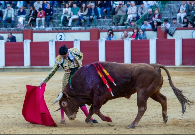 Manuel Diosleguarde se alza con la Corrida de la Oportunidad 