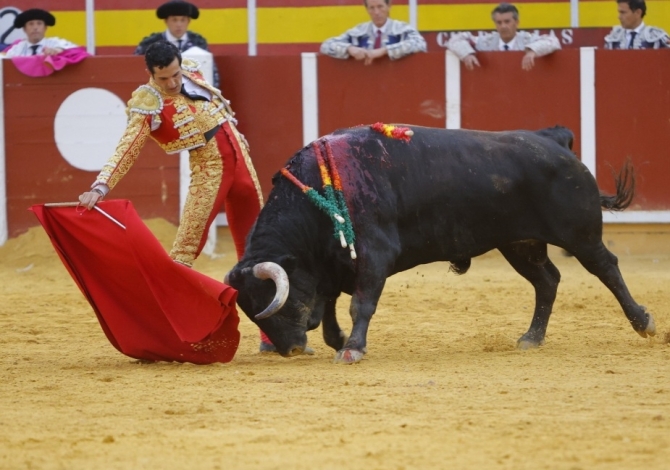 Triunfal encerrona de Antonio Linares en Tomelloso