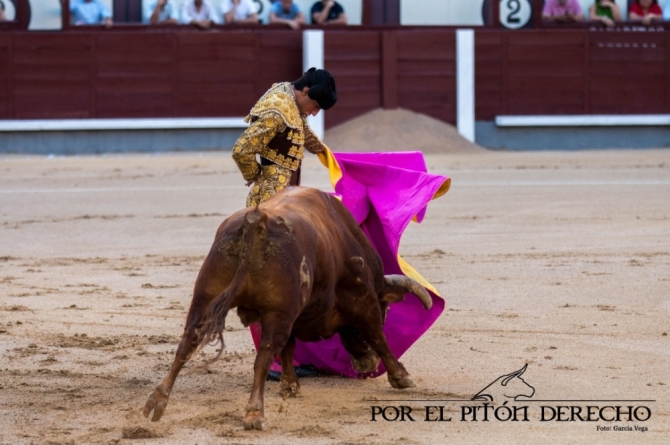 'Ni toreros ni novillos en la primera nocturna'