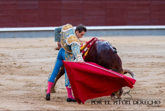 'Ni toreros ni novillos en la primera nocturna'