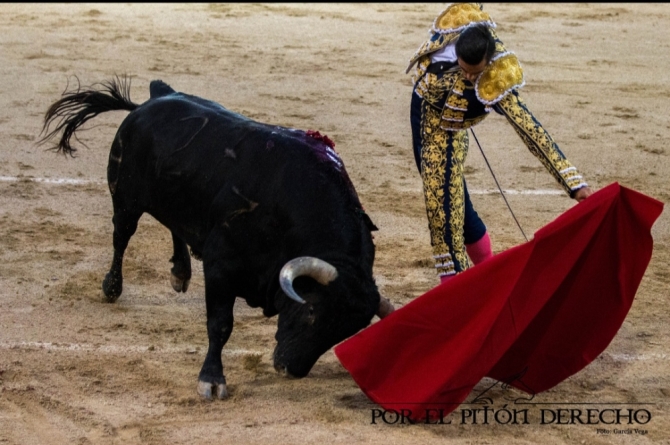 'Ni toreros ni novillos en la primera nocturna'