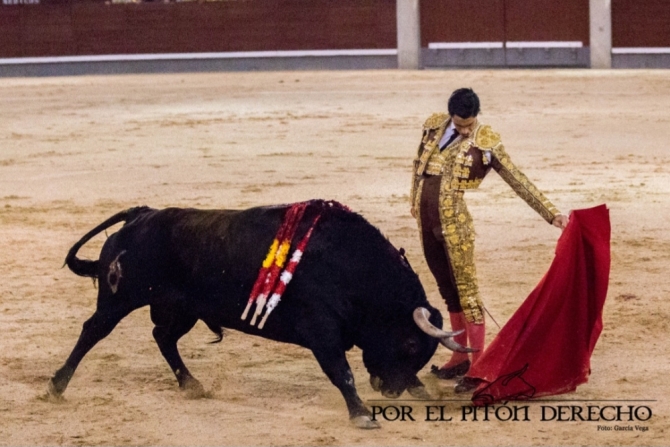 'Ni toreros ni novillos en la primera nocturna'