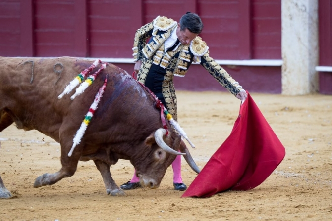 'Cuando te encariñas con la piedra...'