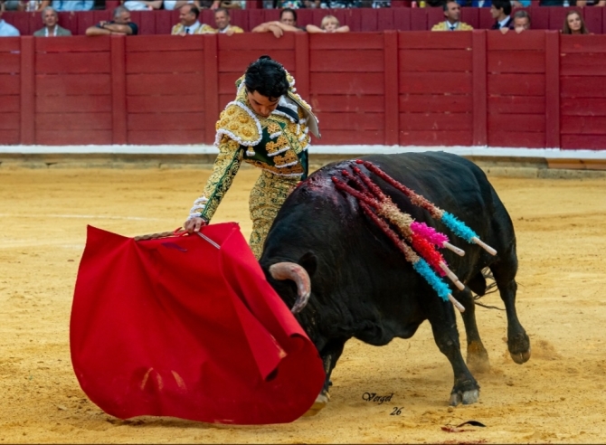 Puerta grande del Cid y De Justo; Mario Navas cae herido