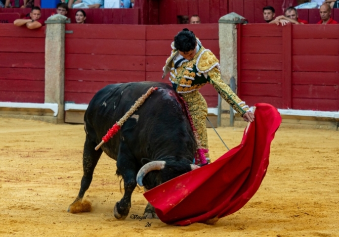Puerta grande del Cid y De Justo; Mario Navas cae herido