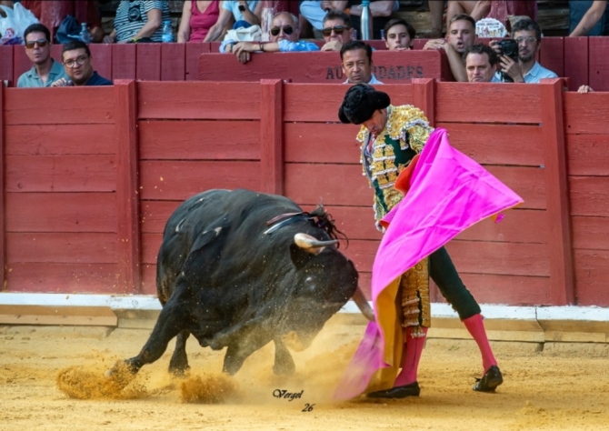 Puerta grande del Cid y De Justo; Mario Navas cae herido