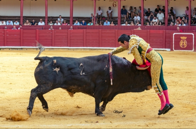 Puerta grande del Cid y De Justo; Mario Navas cae herido