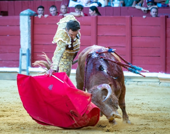 Puerta grande del Cid y De Justo; Mario Navas cae herido