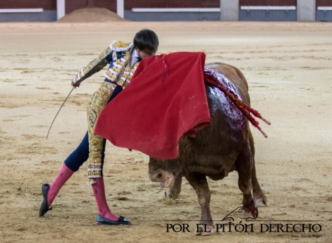'Parejo sueña el toreo en Madrid'