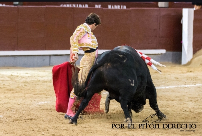'Parejo sueña el toreo en Madrid'