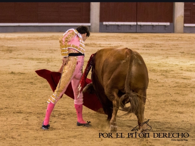 'Parejo sueña el toreo en Madrid'