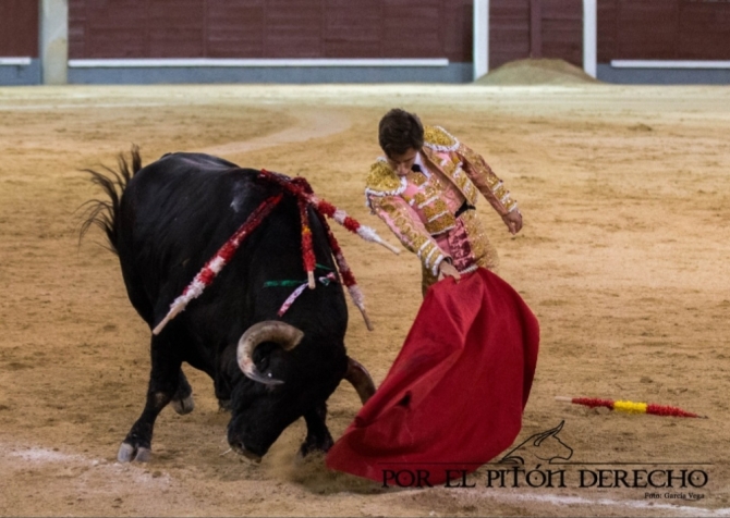 'Parejo sueña el toreo en Madrid'