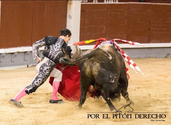 'Parejo sueña el toreo en Madrid'