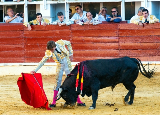 Talavante, De Justo y Norte, a hombros en Medina del Campo 