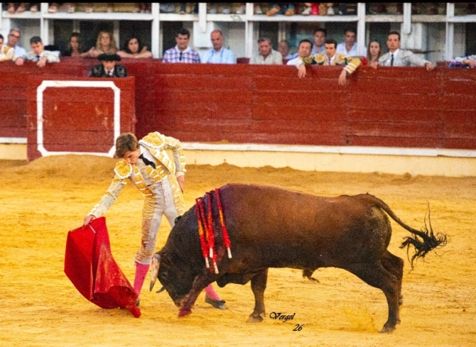Talavante, De Justo y Norte, a hombros en Medina del Campo 