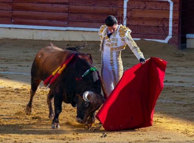 Talavante, De Justo y Norte, a hombros en Medina del Campo 