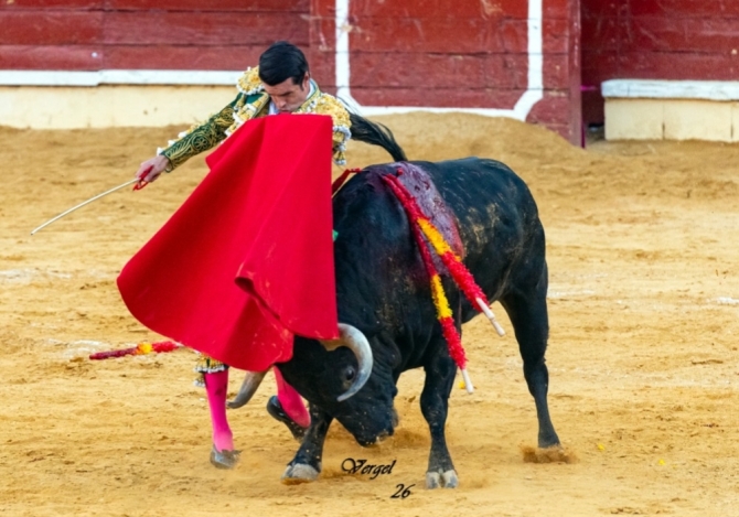Talavante, De Justo y Norte, a hombros en Medina del Campo 