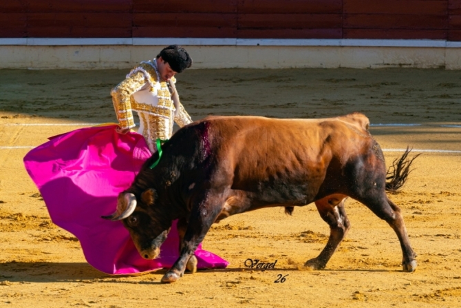 Talavante, De Justo y Norte, a hombros en Medina del Campo 