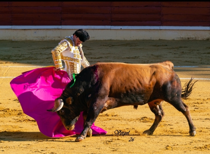 Talavante, De Justo y Norte, a hombros en Medina del Campo 