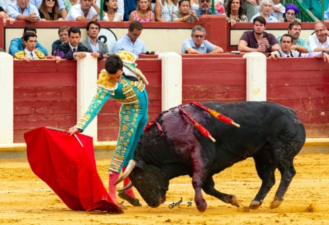 Solitaria oreja para Marco Pérez en la primera de Valladolid