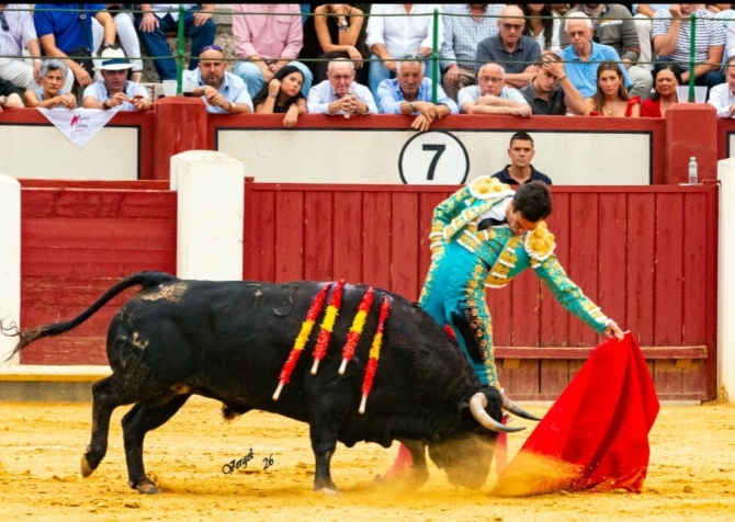 Solitaria oreja para Marco Pérez en la primera de Valladolid