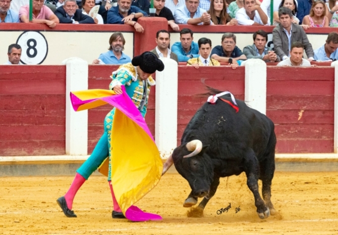 Solitaria oreja para Marco Pérez en la primera de Valladolid
