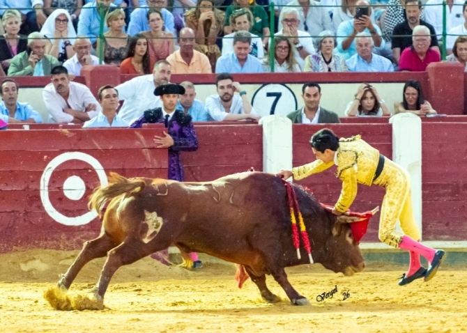 Solitaria oreja para Marco Pérez en la primera de Valladolid