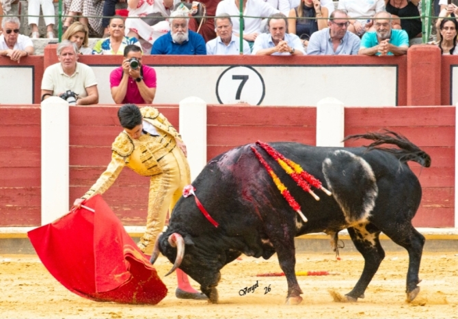 Solitaria oreja para Marco Pérez en la primera de Valladolid