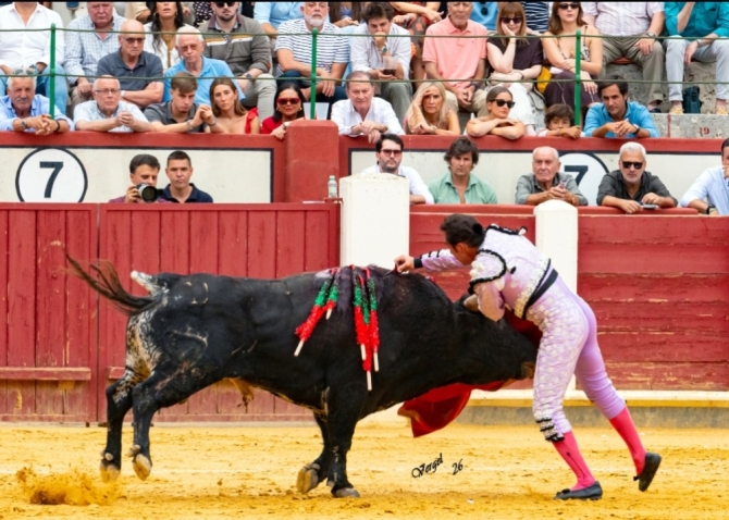 Solitaria oreja para Marco Pérez en la primera de Valladolid