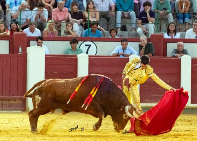 Solitaria oreja para Marco Pérez en la primera de Valladolid