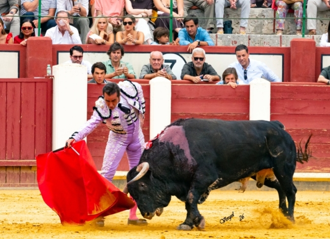Solitaria oreja para Marco Pérez en la primera de Valladolid