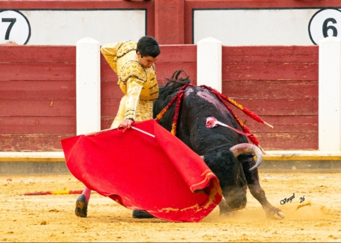 Solitaria oreja para Marco Pérez en la primera de Valladolid