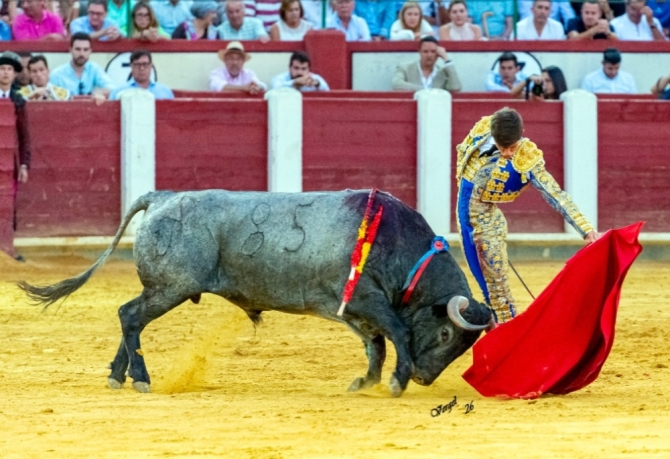 Luque se lleva otra buena tarde de Victorino, en Valladolid 