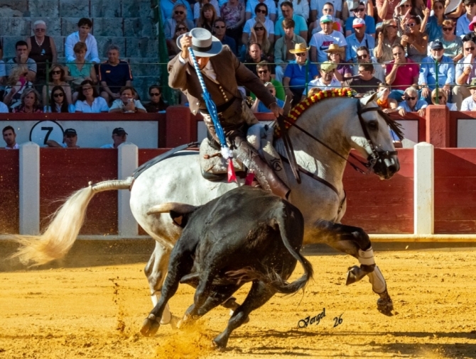 Oreja por montura en la última de Valladolid 