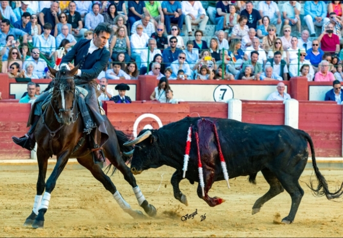 Oreja por montura en la última de Valladolid 