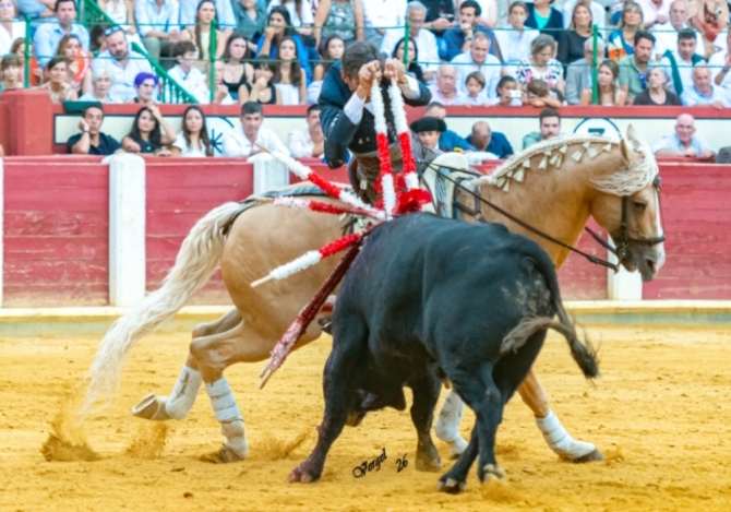 Oreja por montura en la última de Valladolid 