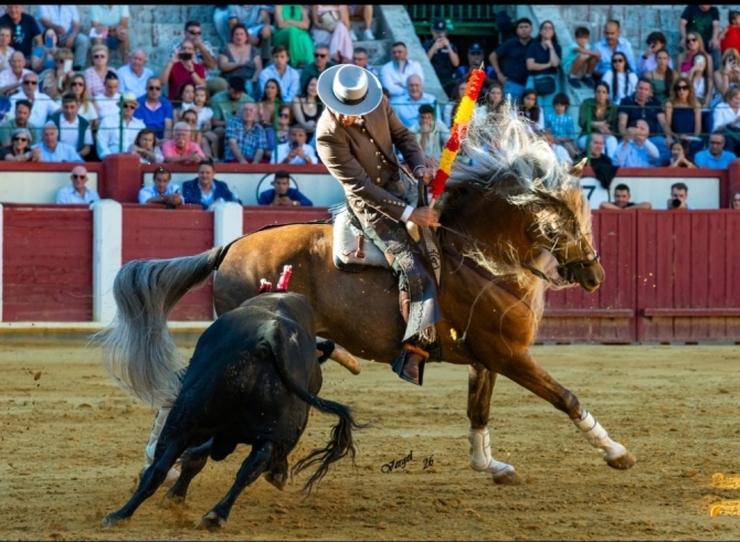 Oreja por montura en la última de Valladolid 